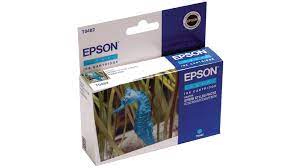 Epson - T048240 - Out of Date T0482 Cyan Ink Cartridge - £12-99 plus VAT - In Stock 1 to 2 Day Leadtime